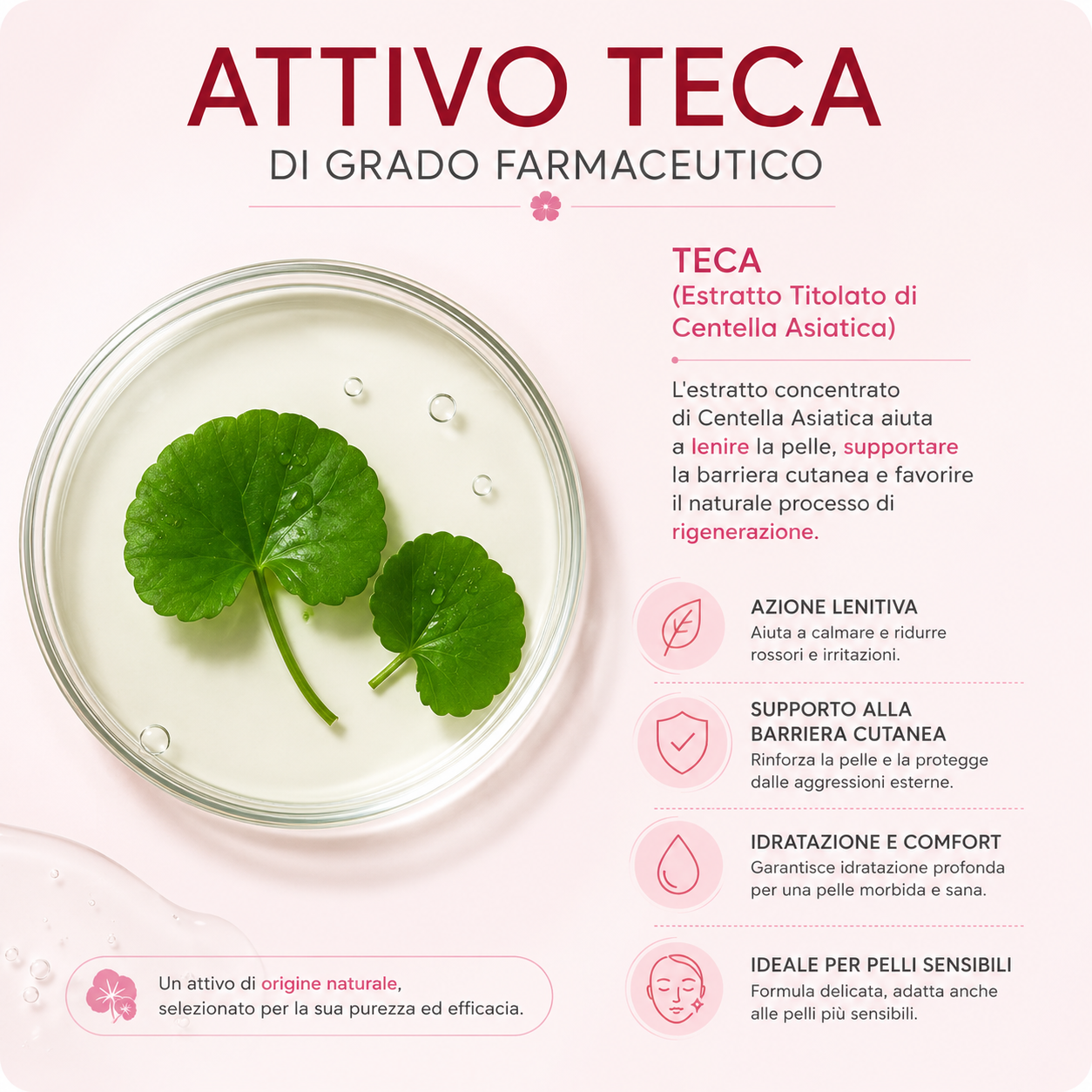 SKIN1004 - Centella Facial Routine™