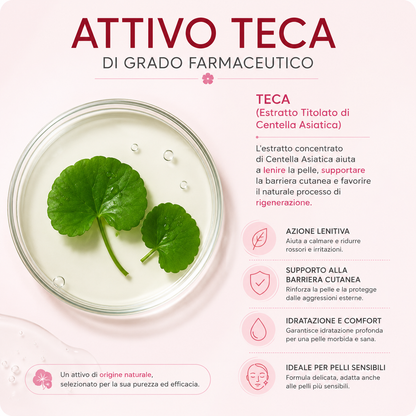 SKIN1004 - Centella Facial Routine™